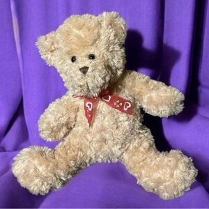 Teddy Bear ~ Stuffed Animal ~ Plush Toy ~ 13 Inches